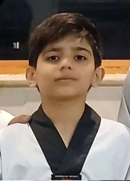 پرونده:Amirali Amini.jpg