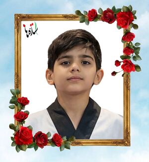 Amirali Amini..jpg