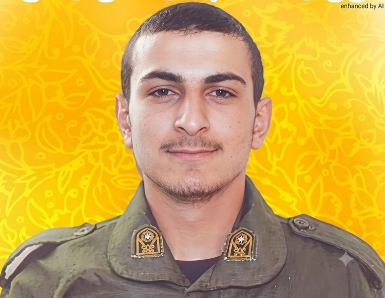 پرونده:Arshia Zolghadr.png
