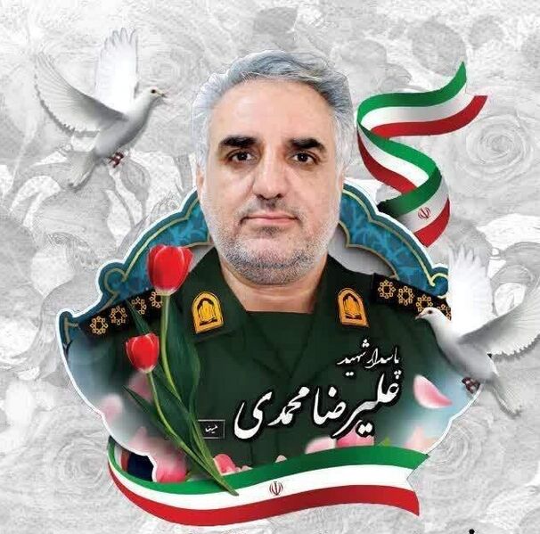 پرونده:Alireza Mohammadi.jpg